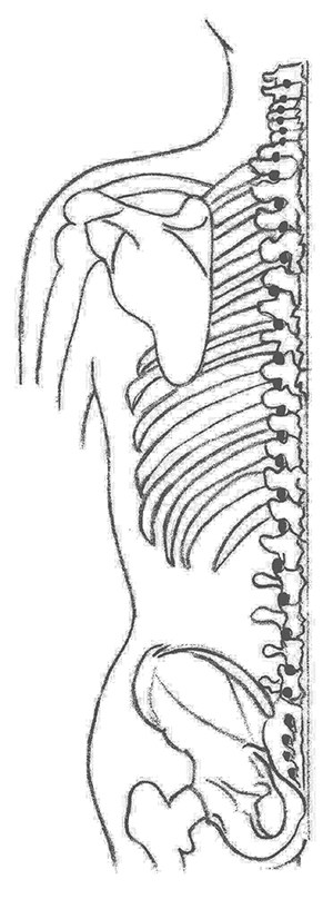 Spinal application of tuning forks